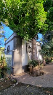 2024-01-GranCan-Jardin_de_la_Marquesa-048.jpg